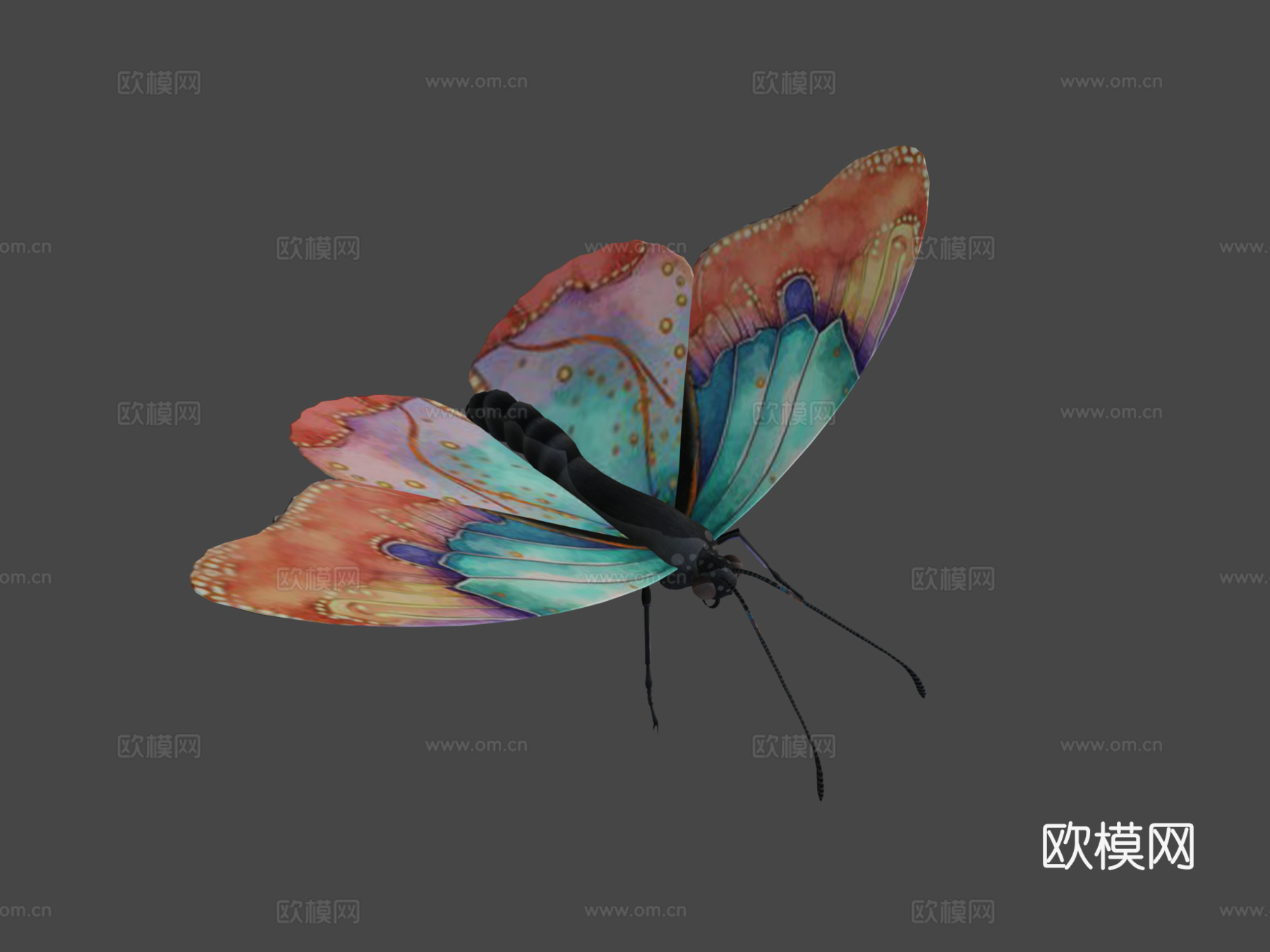 动画飞行扑翼蝴蝶循环3d模型