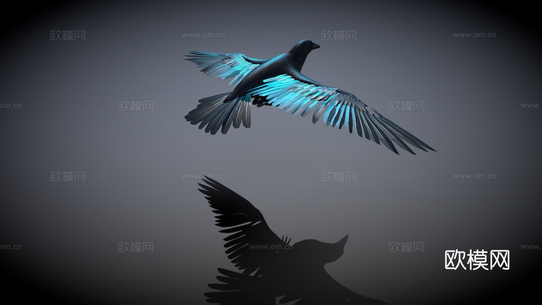 乌鸦_绑定动画3d模型