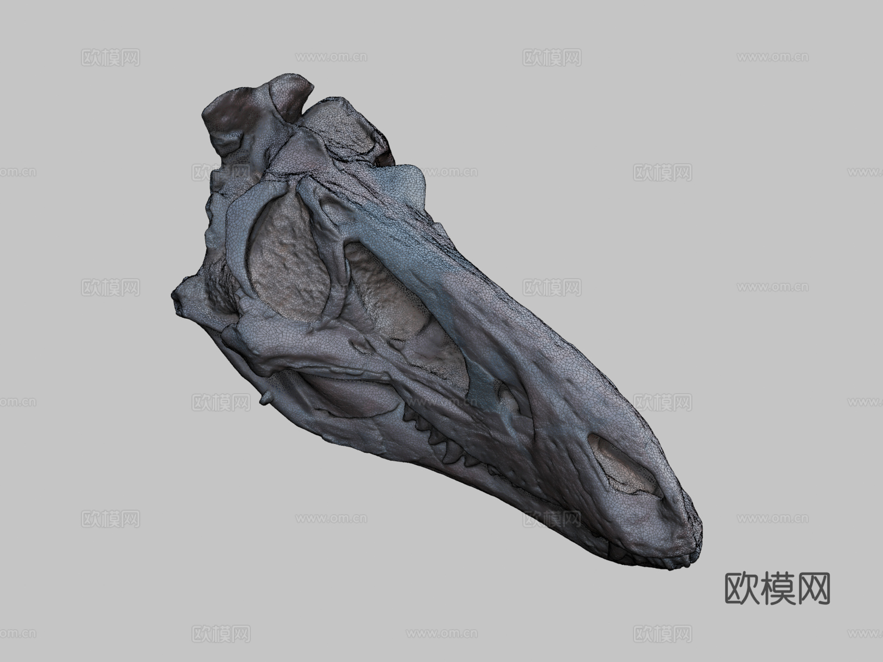 矮暴龙3d模型