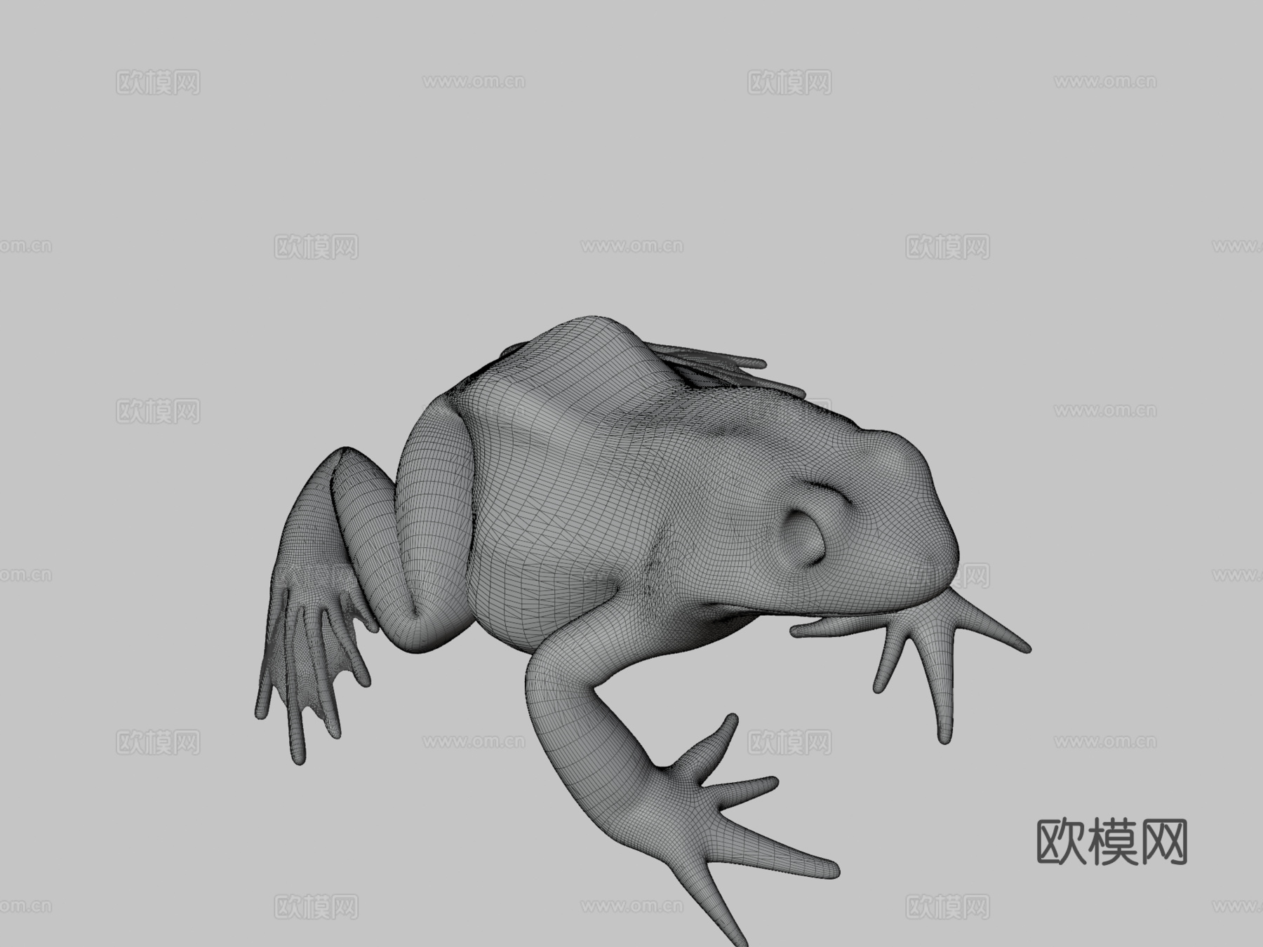 普通青蛙姿势制作中3d模型