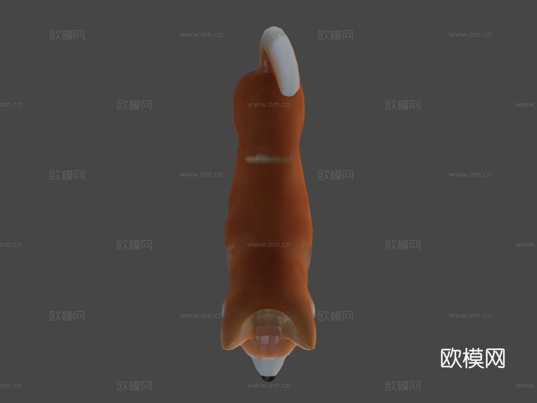秋田犬3d模型