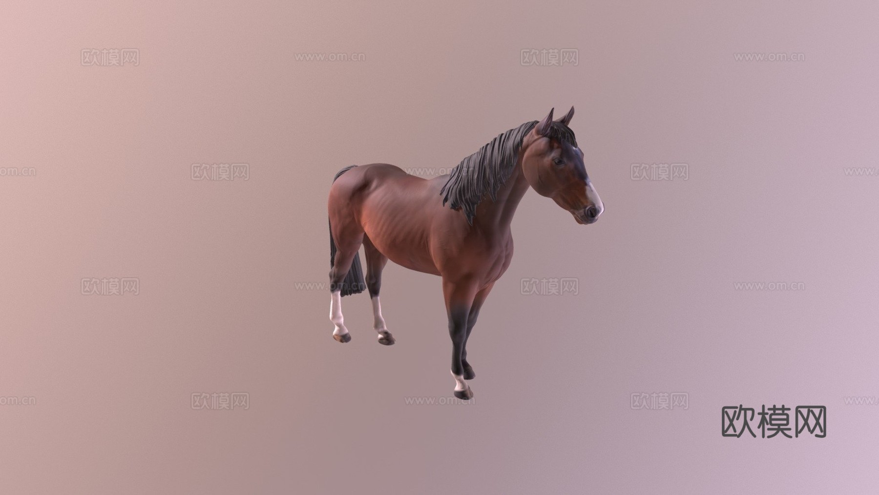 -乒乓球3d模型
