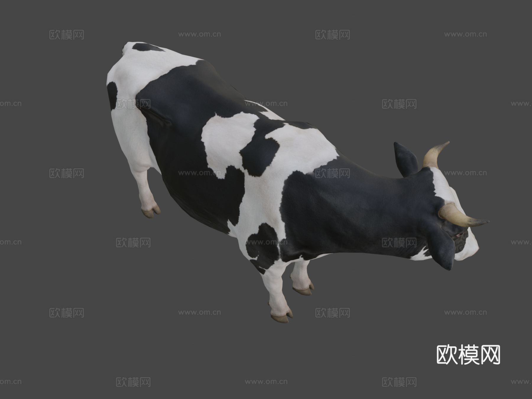奶牛3d模型
