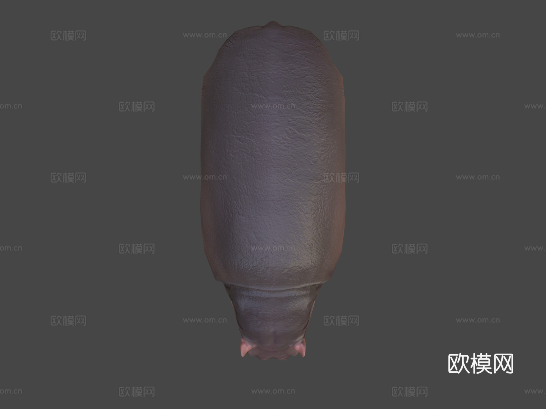 河马3d模型