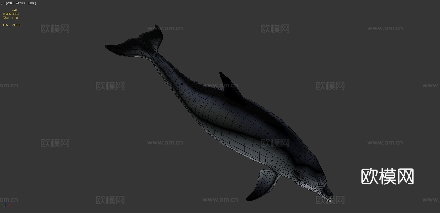 宽吻海豚3d模型