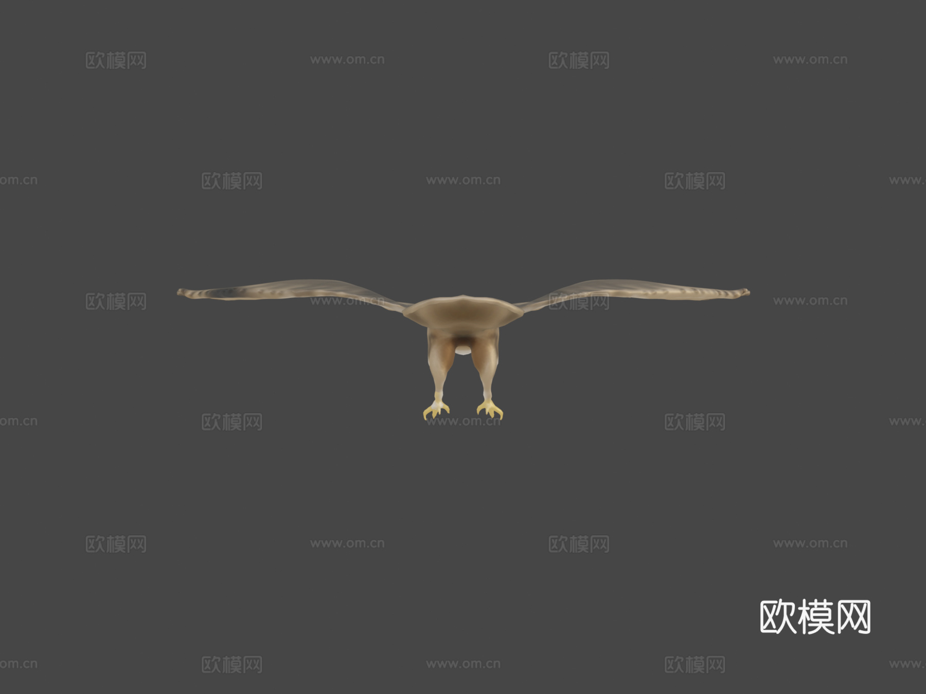 猎鹰3d模型
