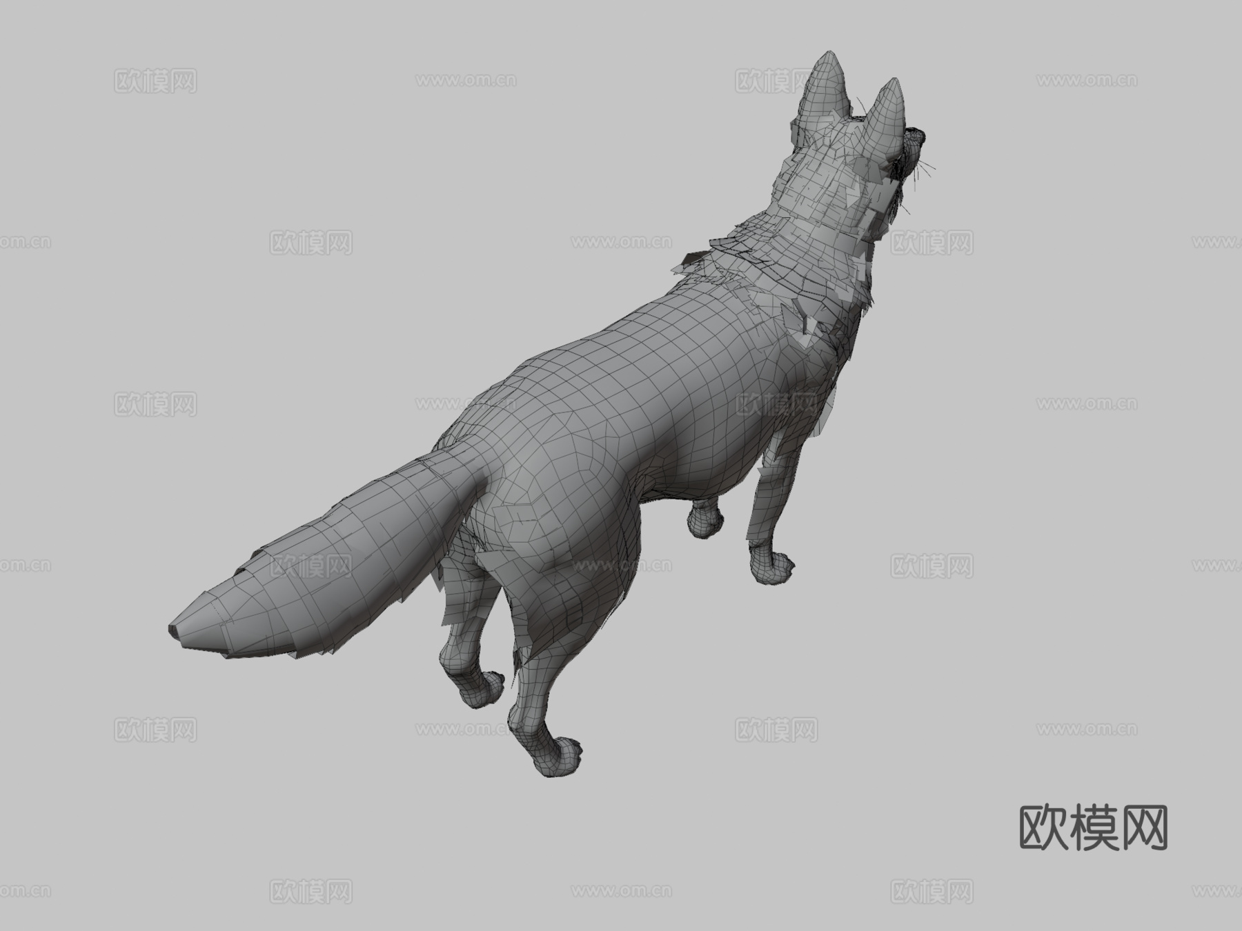 莱利3d模型