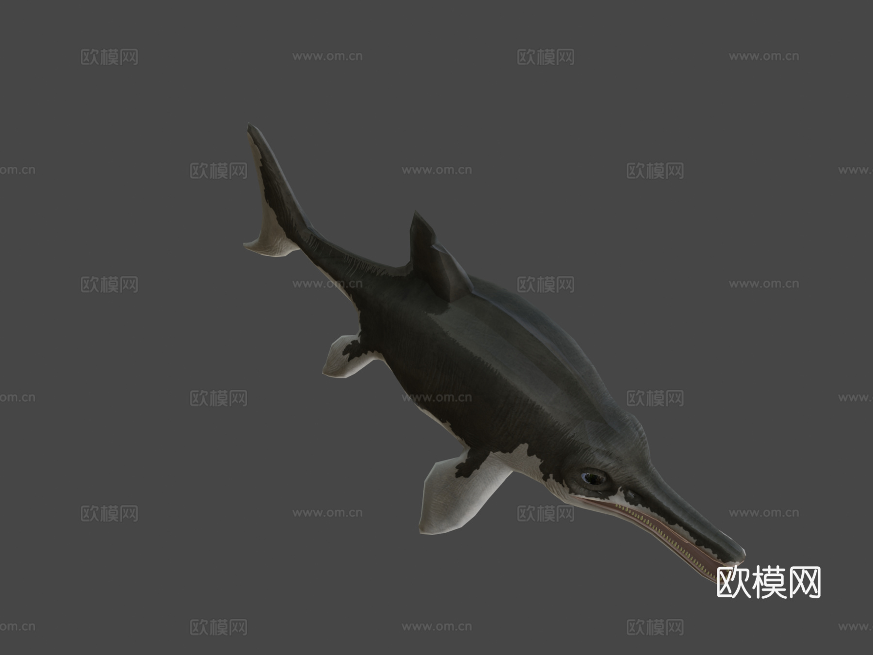 鱼龙3d模型