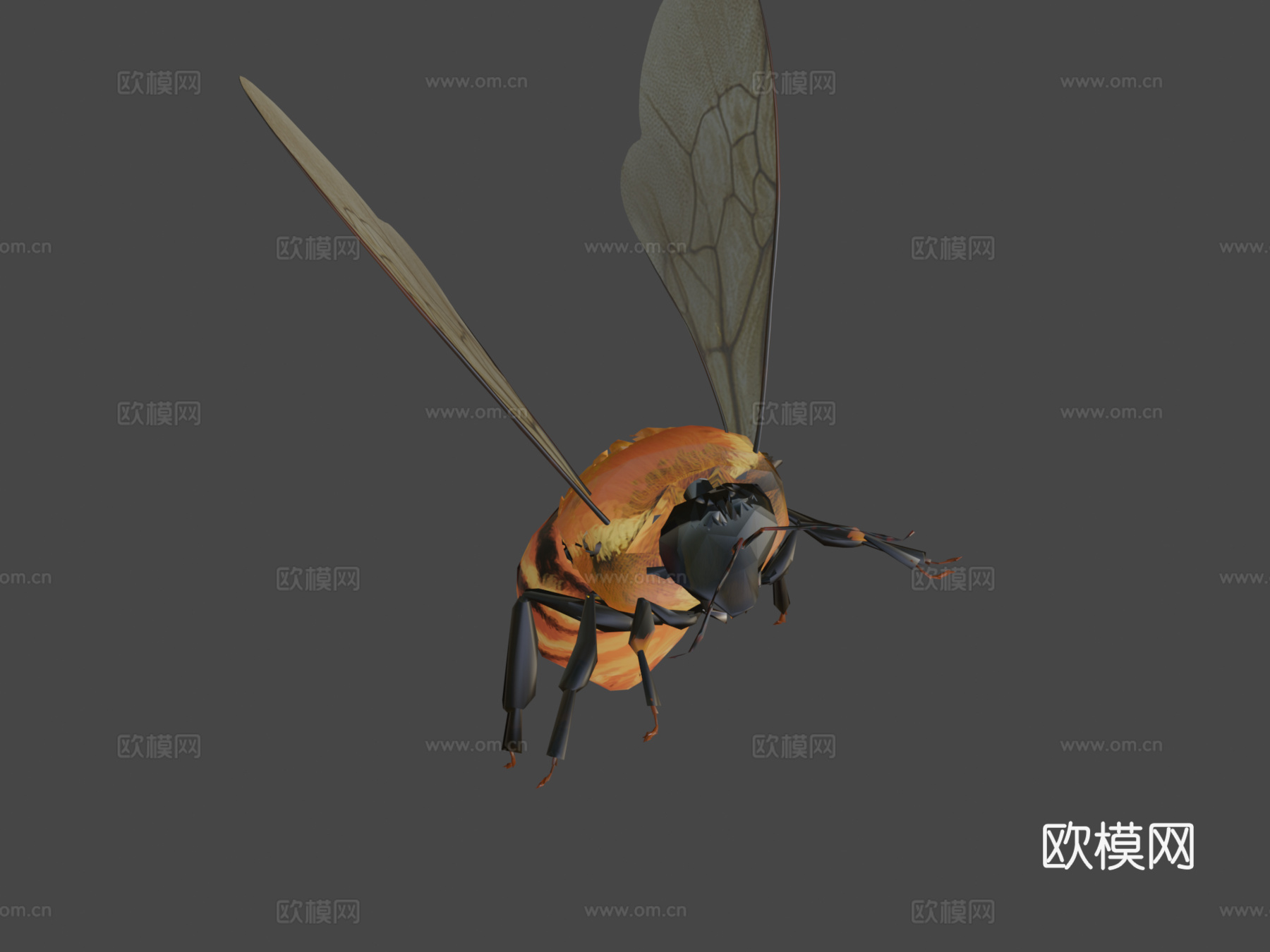 达尔博姆熊蜂3d模型