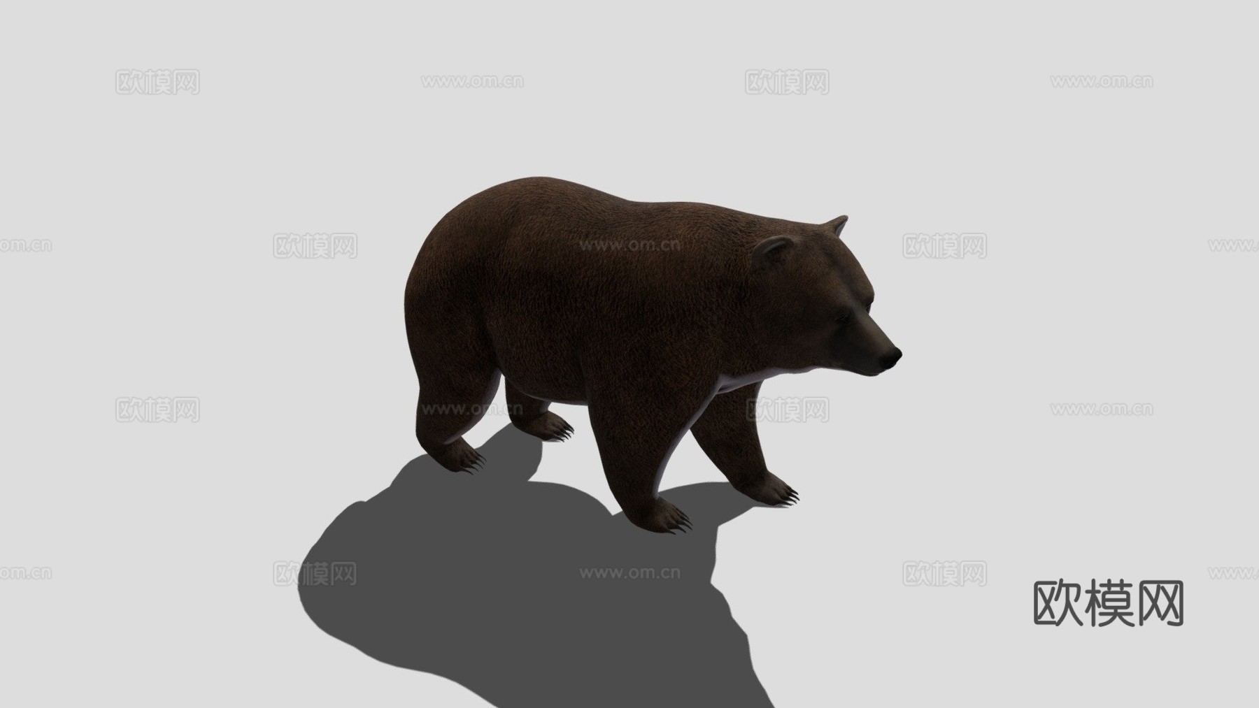熊3d模型