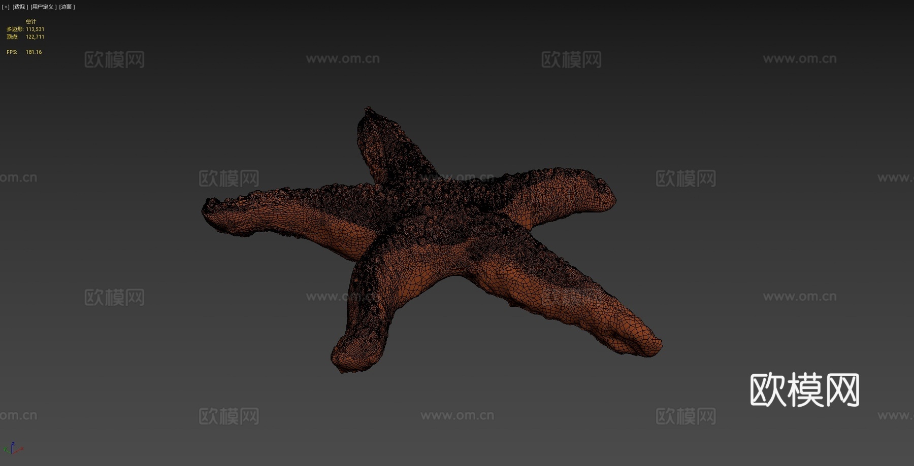 海星3d模型