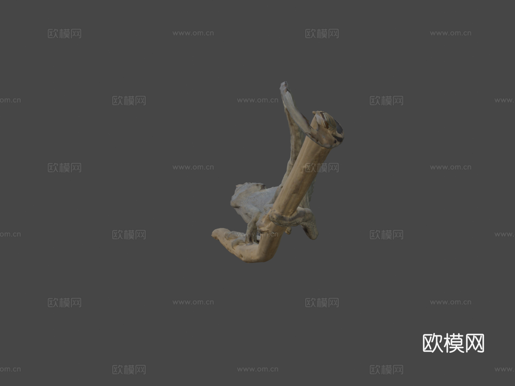 杰克逊变色龙3d模型