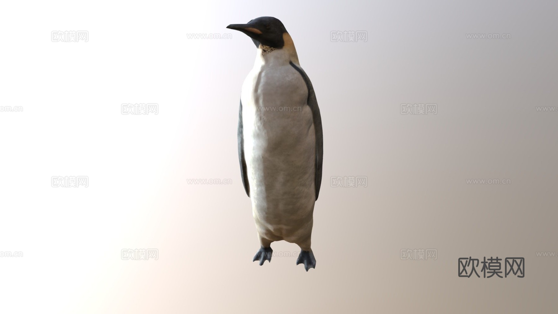 帝企鹅3d模型