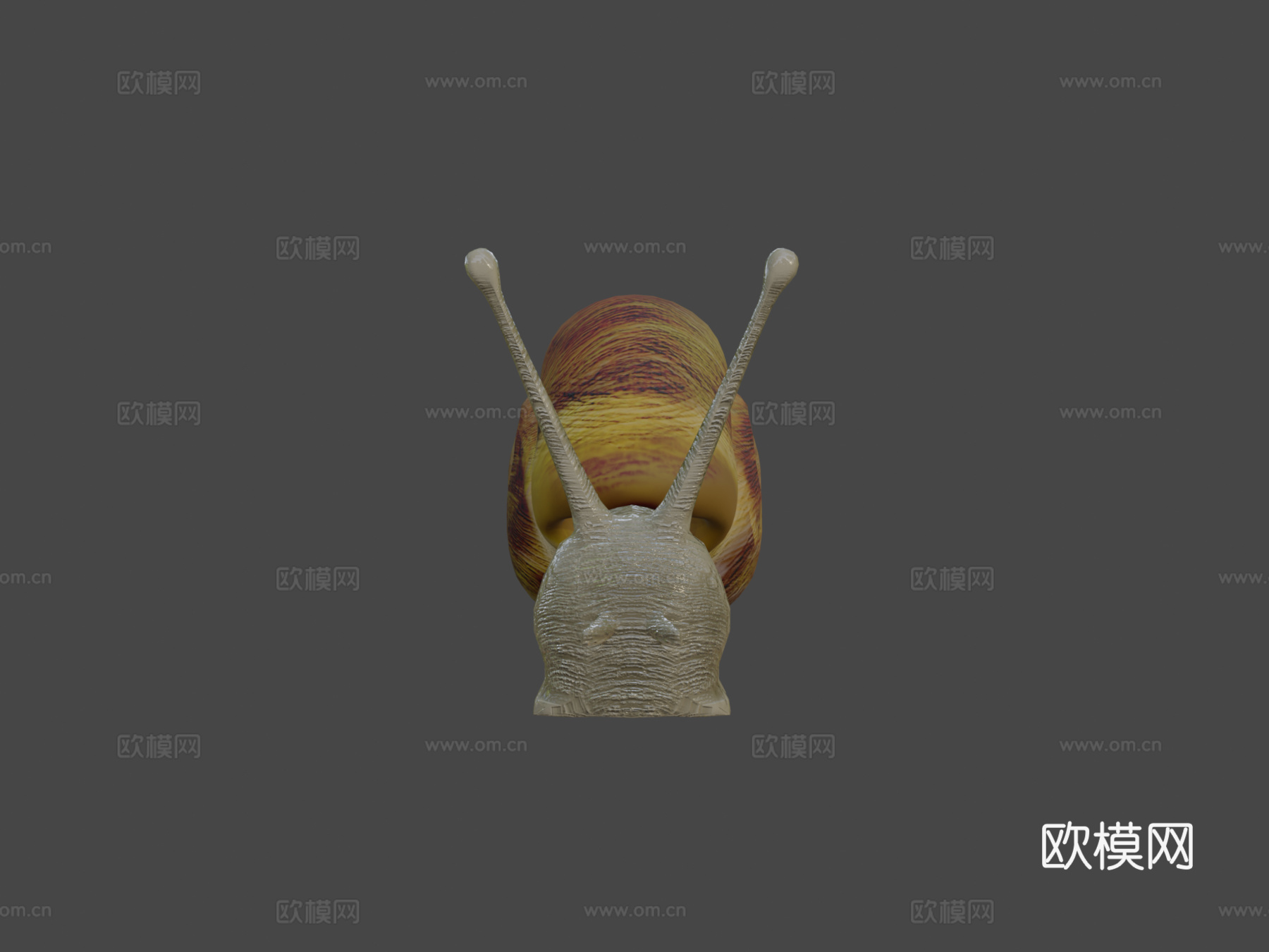蜗牛3d模型
