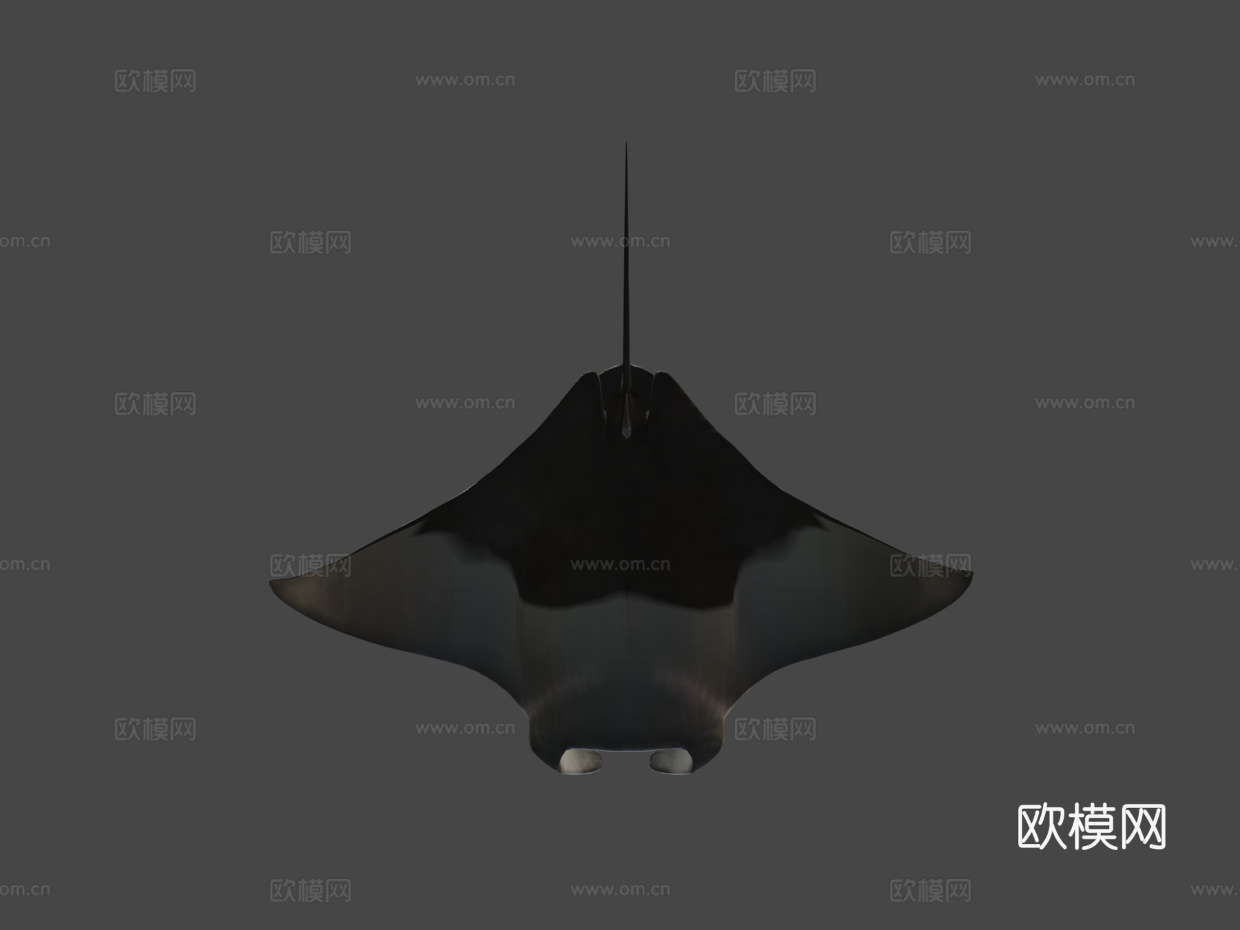 蝠鲼3d模型
