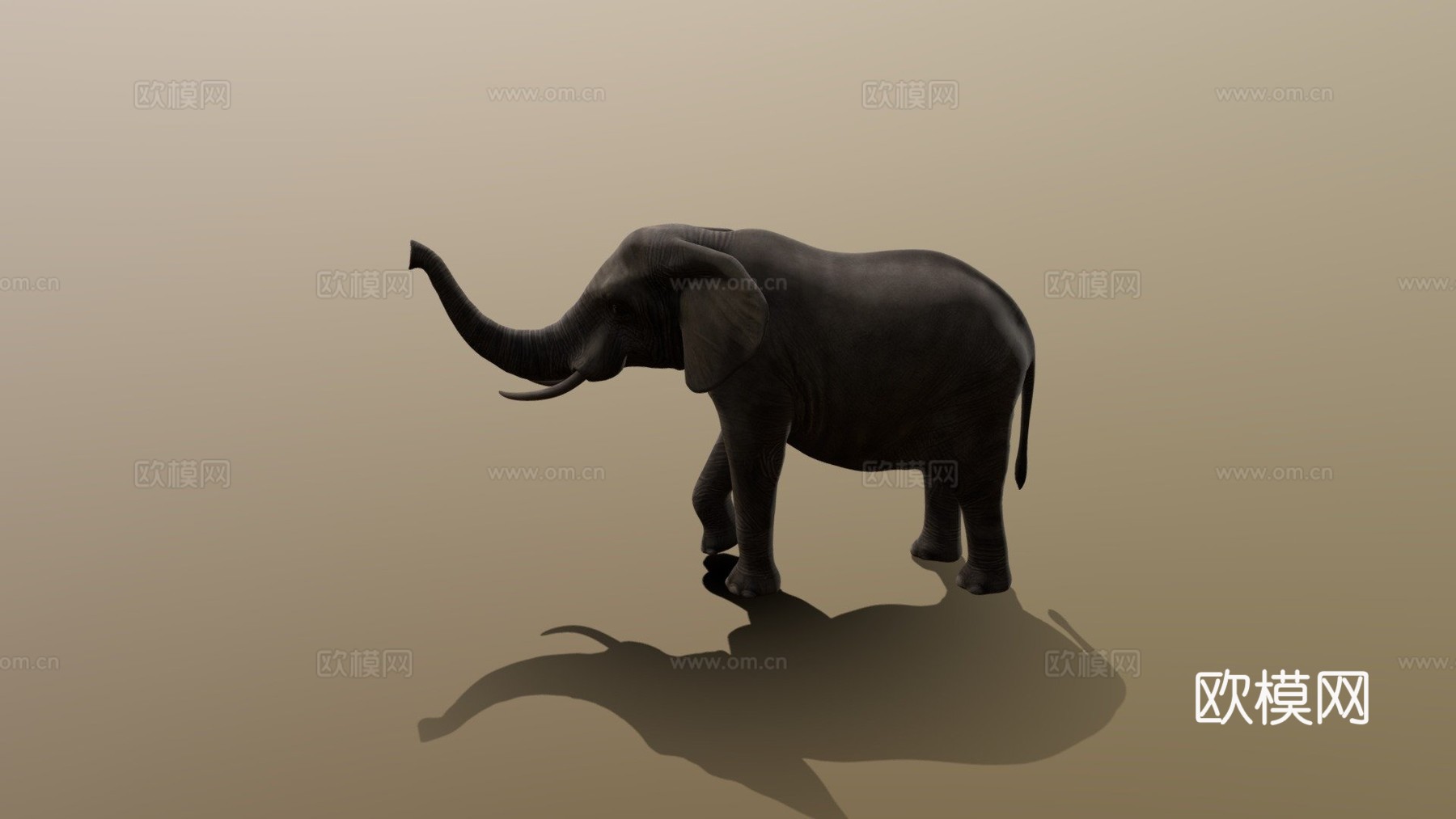 大象3d模型