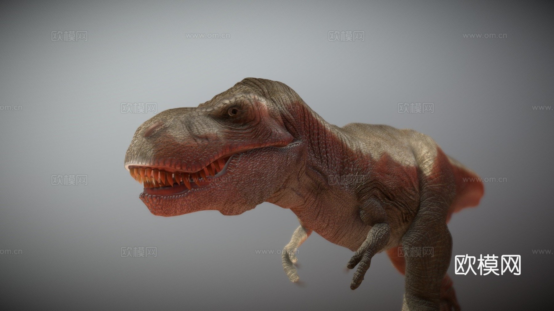 暴龙3d模型