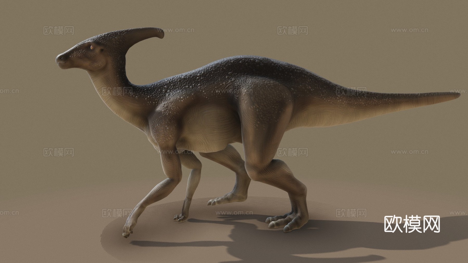 副栉龙行走循环3d模型
