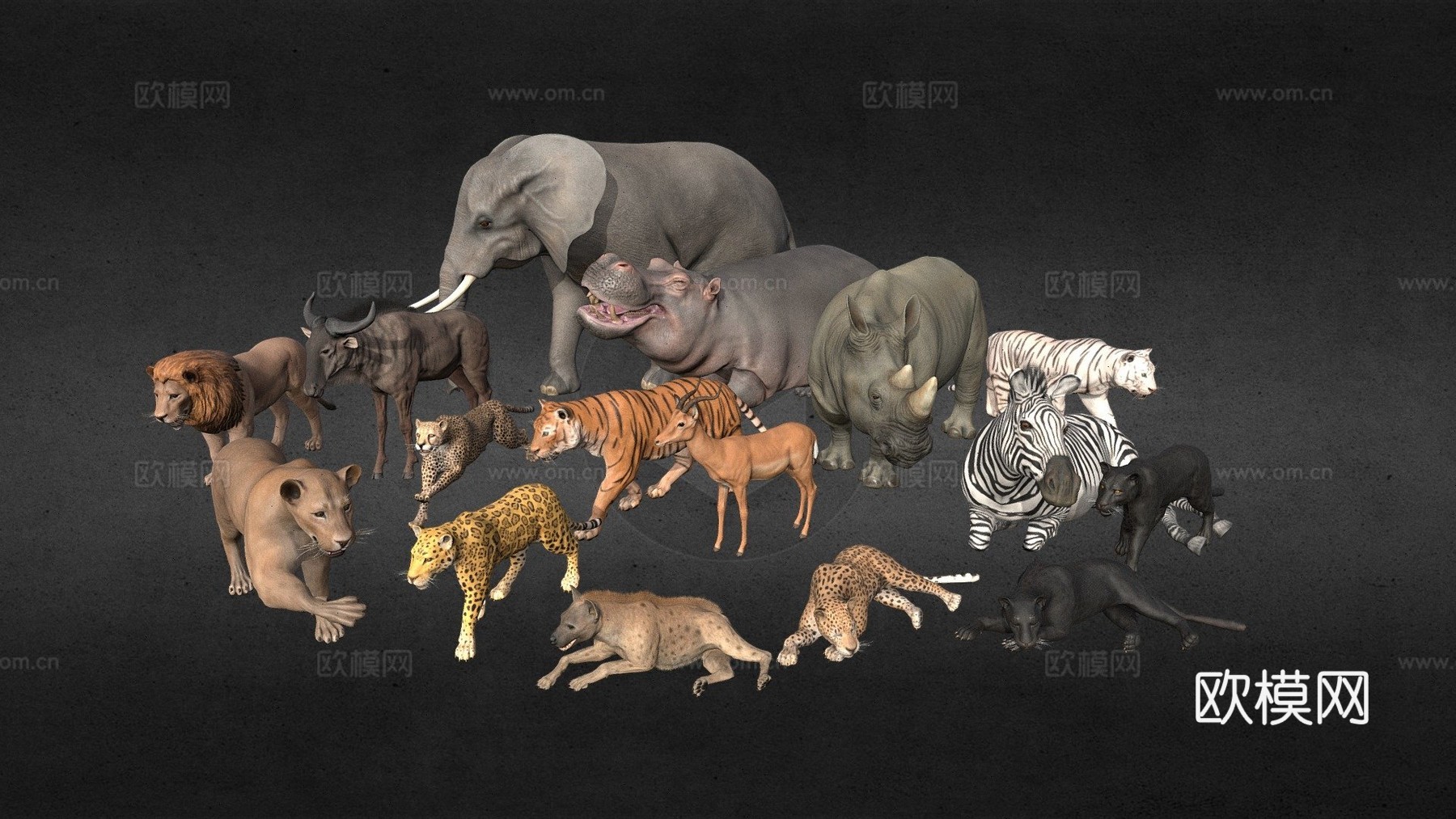 非洲动物包3d模型