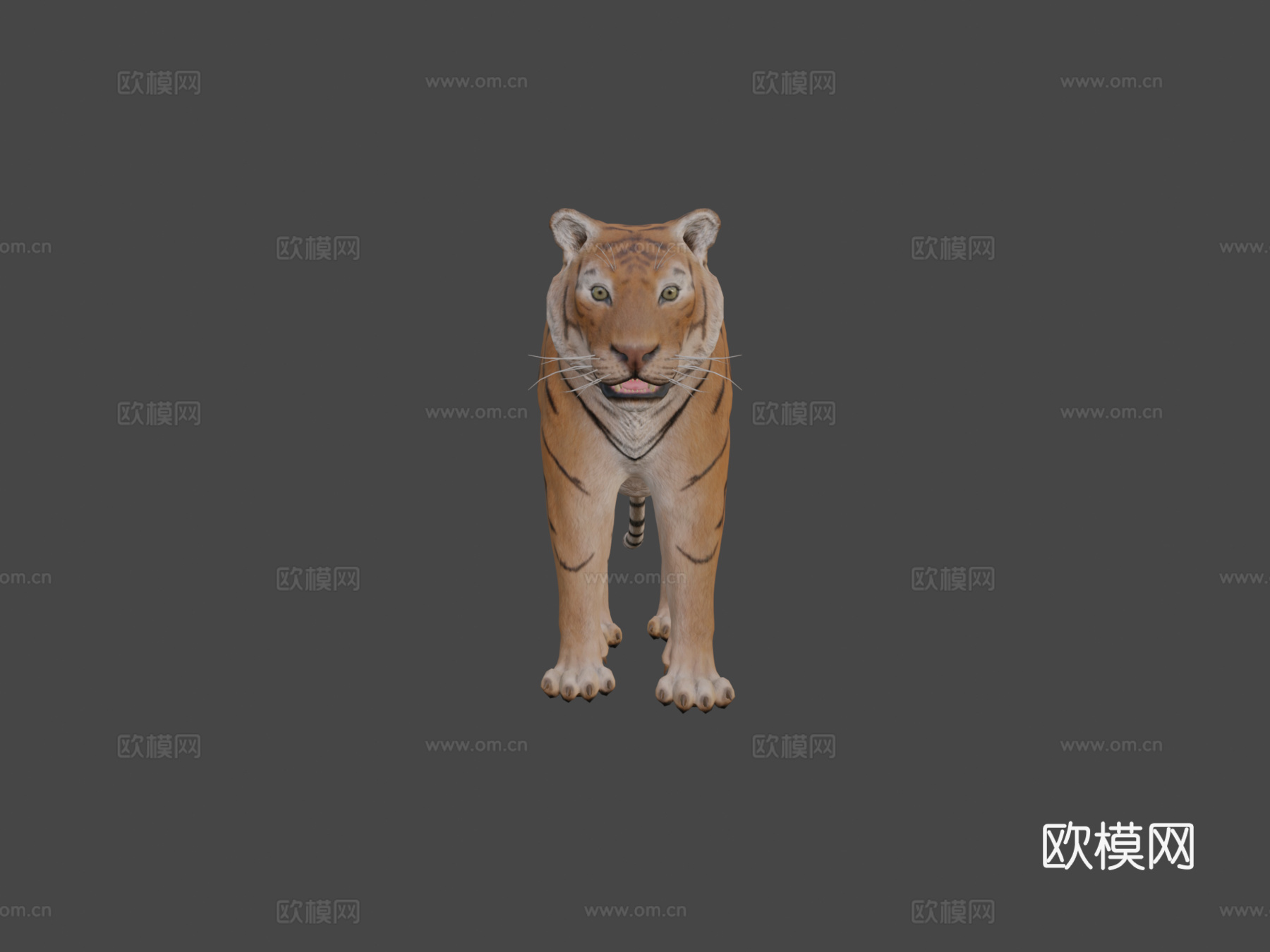 老虎3d模型