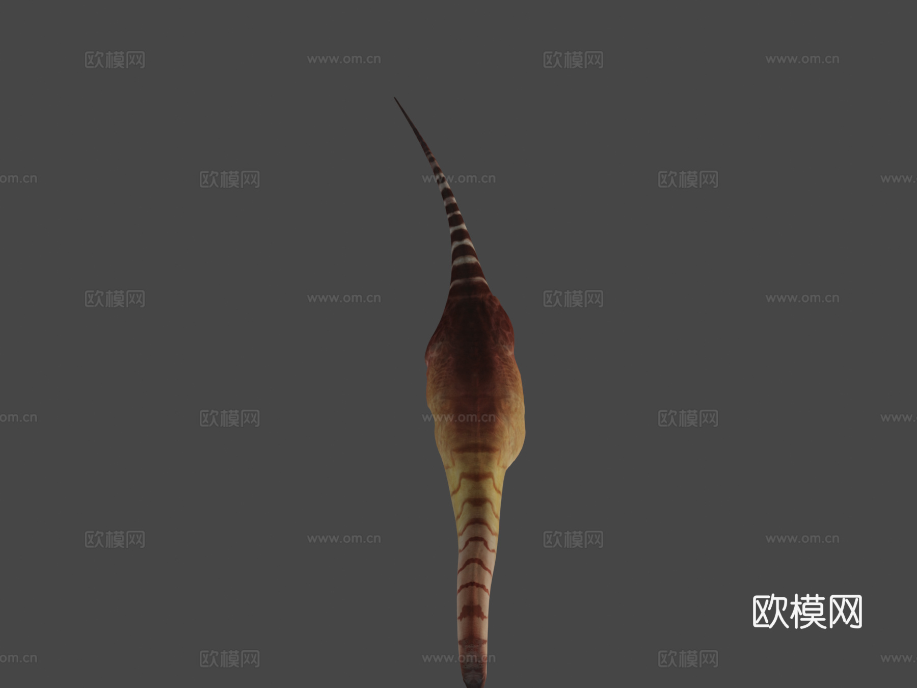 腕龙行走循环3d模型