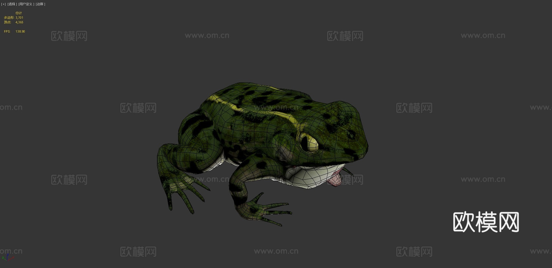 青蛙3d模型