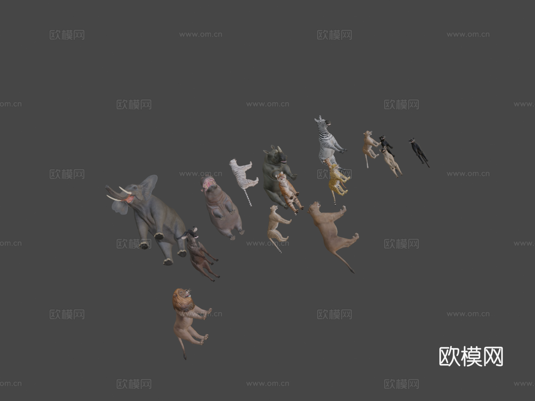 非洲动物包3d模型