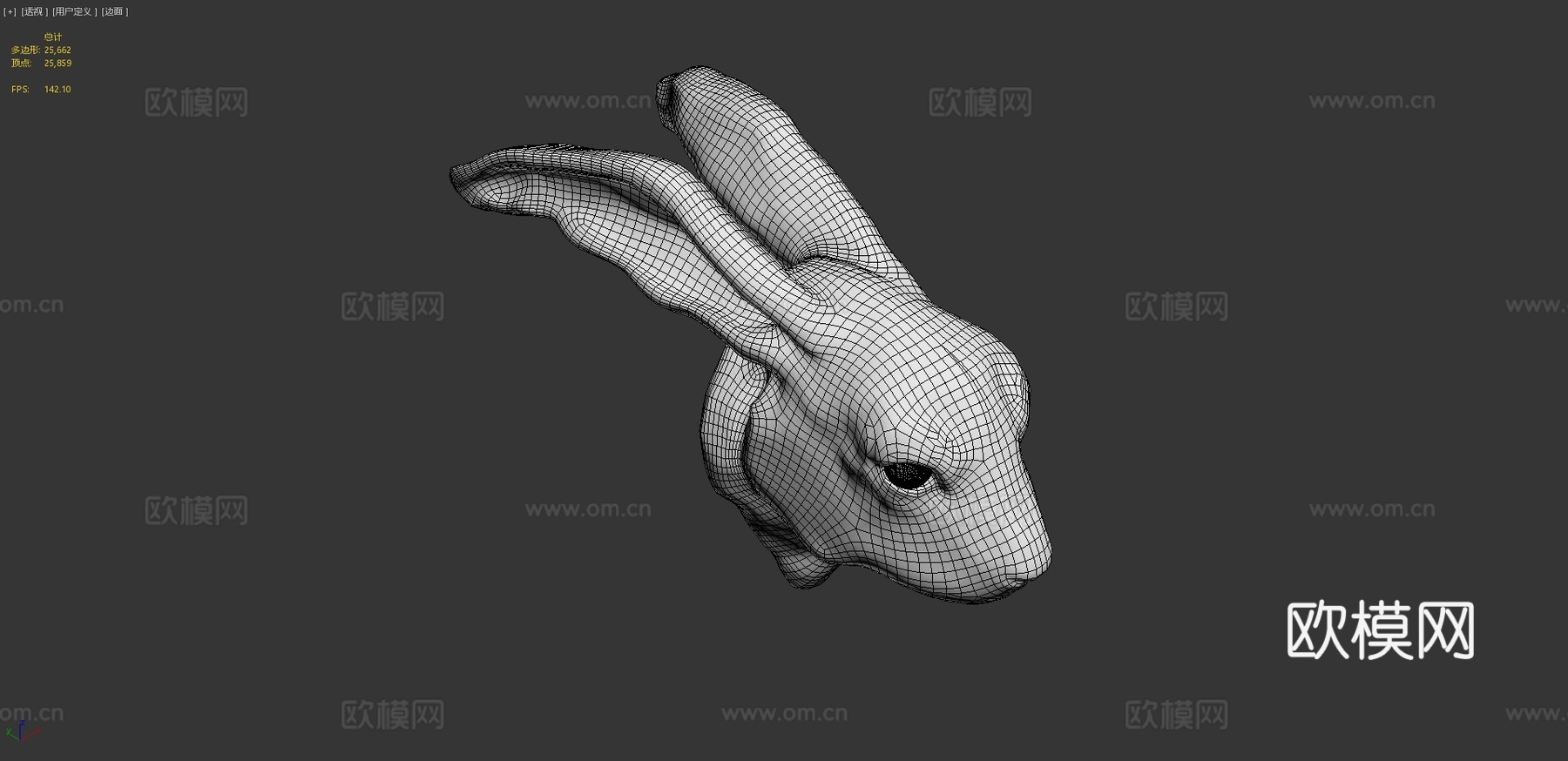 欧洲野兔3d模型