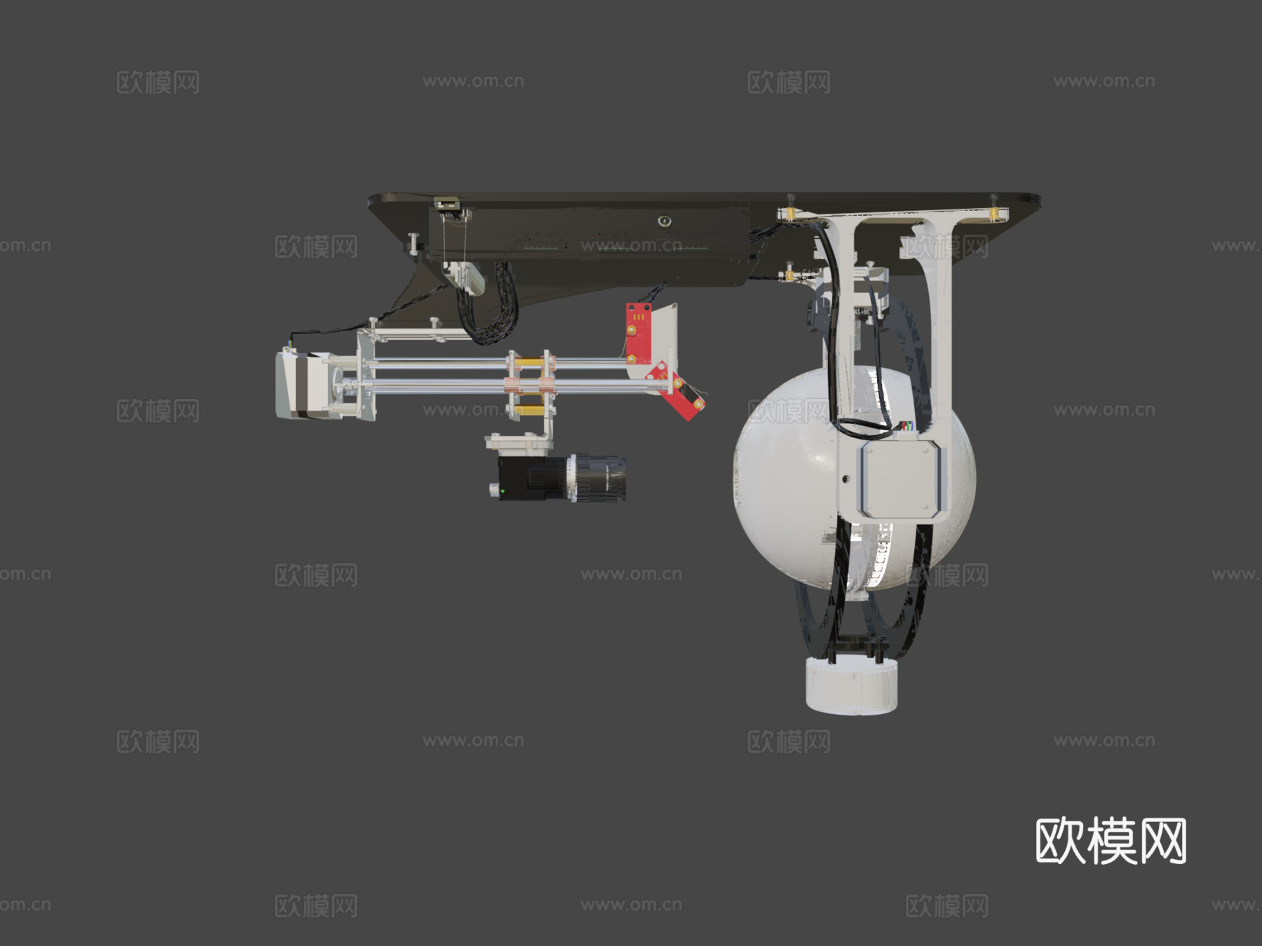 scAnt-开源3D昆虫扫描仪3d模型