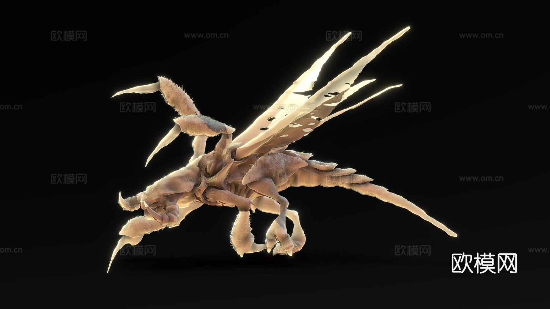 真实速龙3d模型