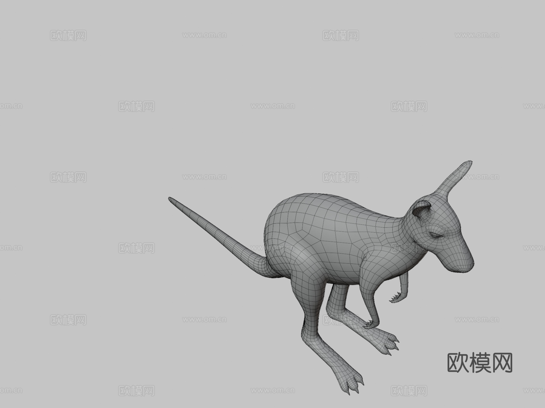 袋鼠3d模型
