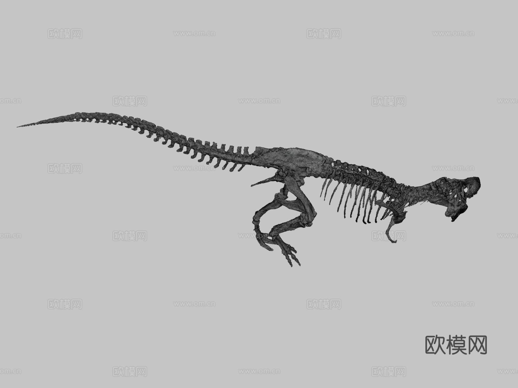 霸王龙3d模型