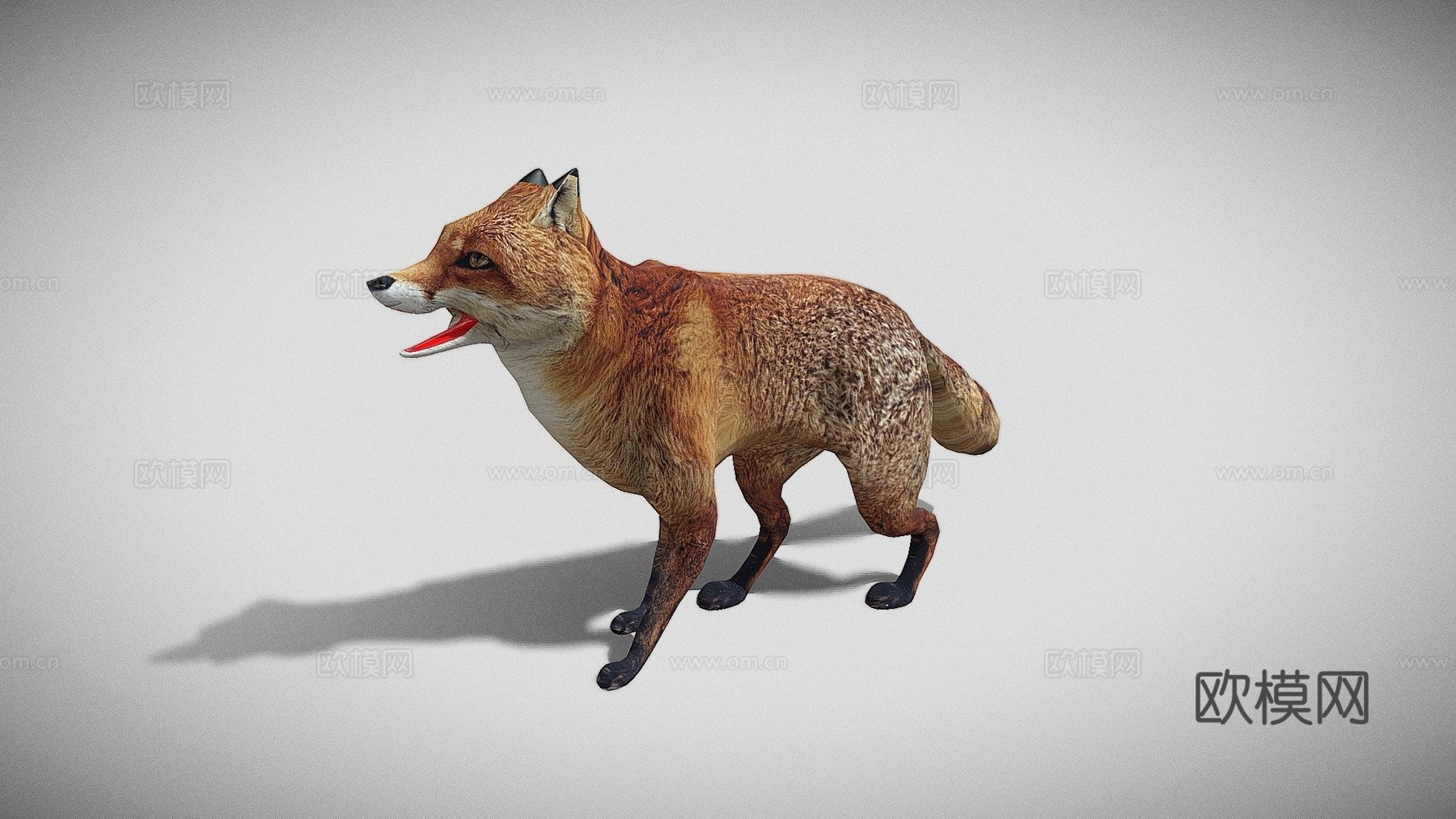 狐狸3d模型