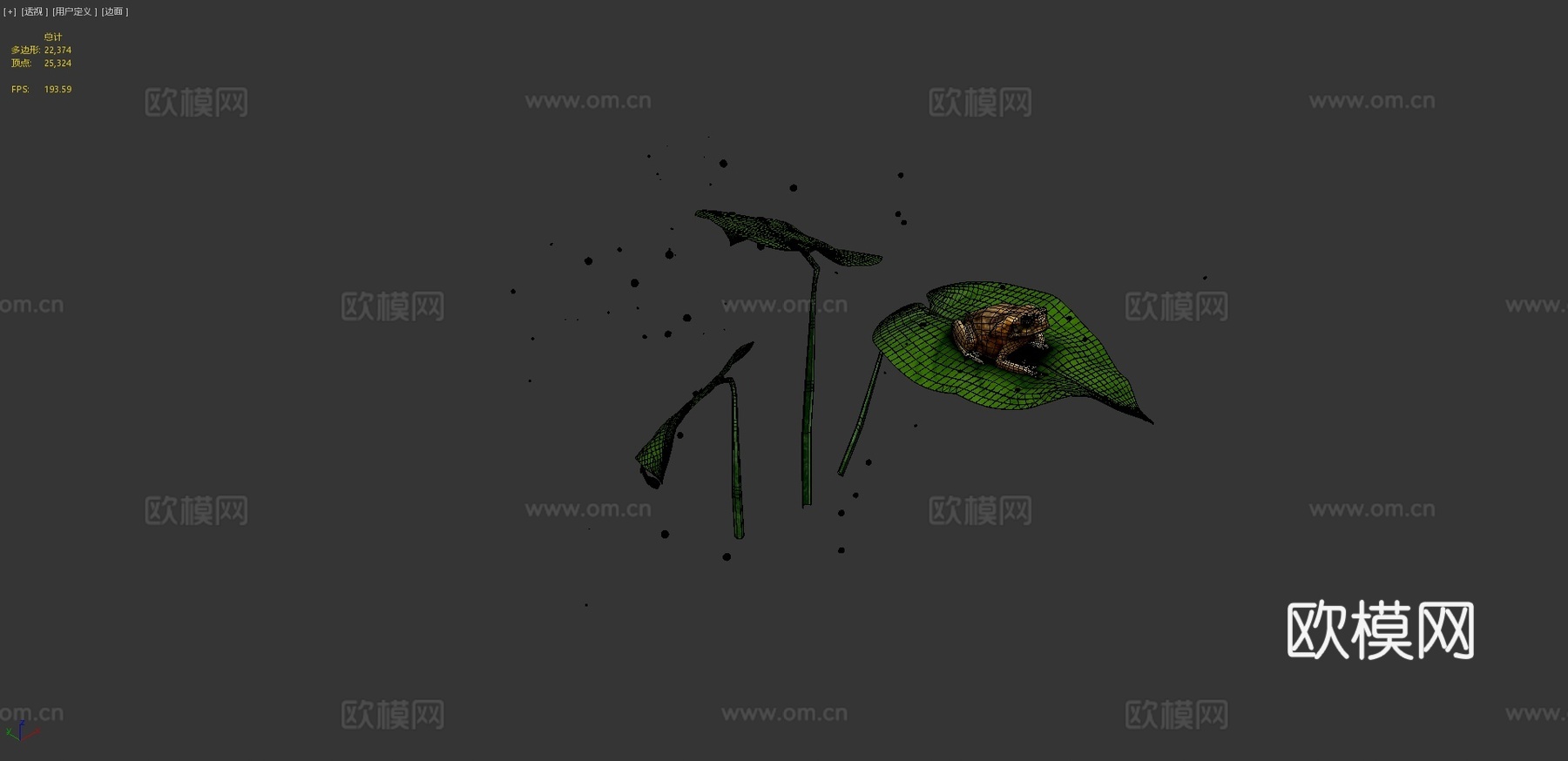蟾蜍3d模型