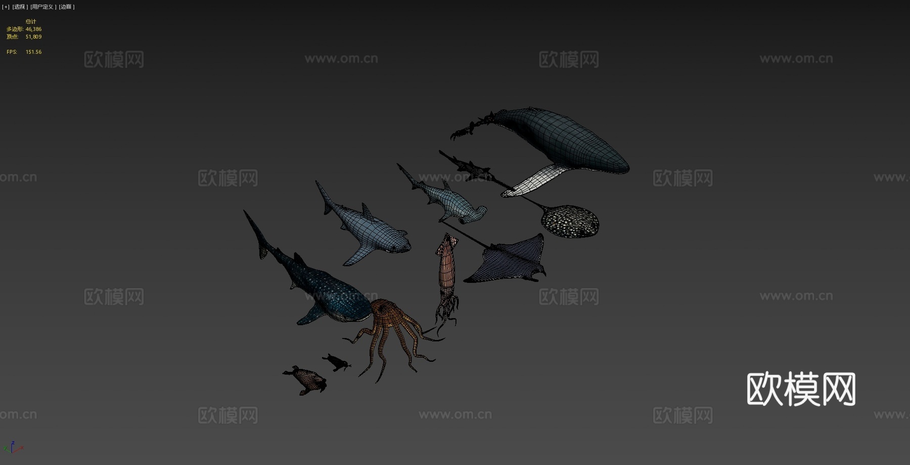 种海洋动物包-低多边形合集3d模型