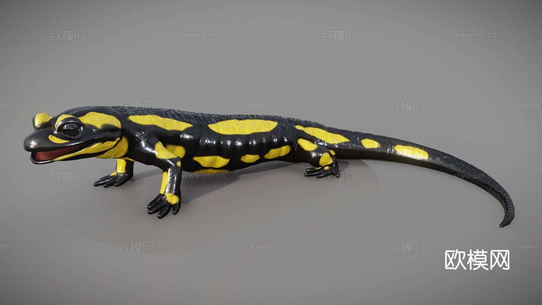 火蝾螈 - 萨拉曼德拉蝾螈3d模型