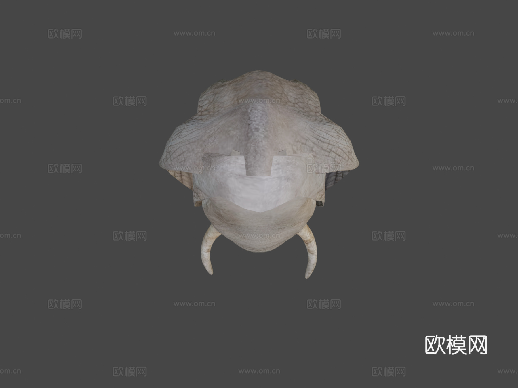 动物界-非洲象3d模型