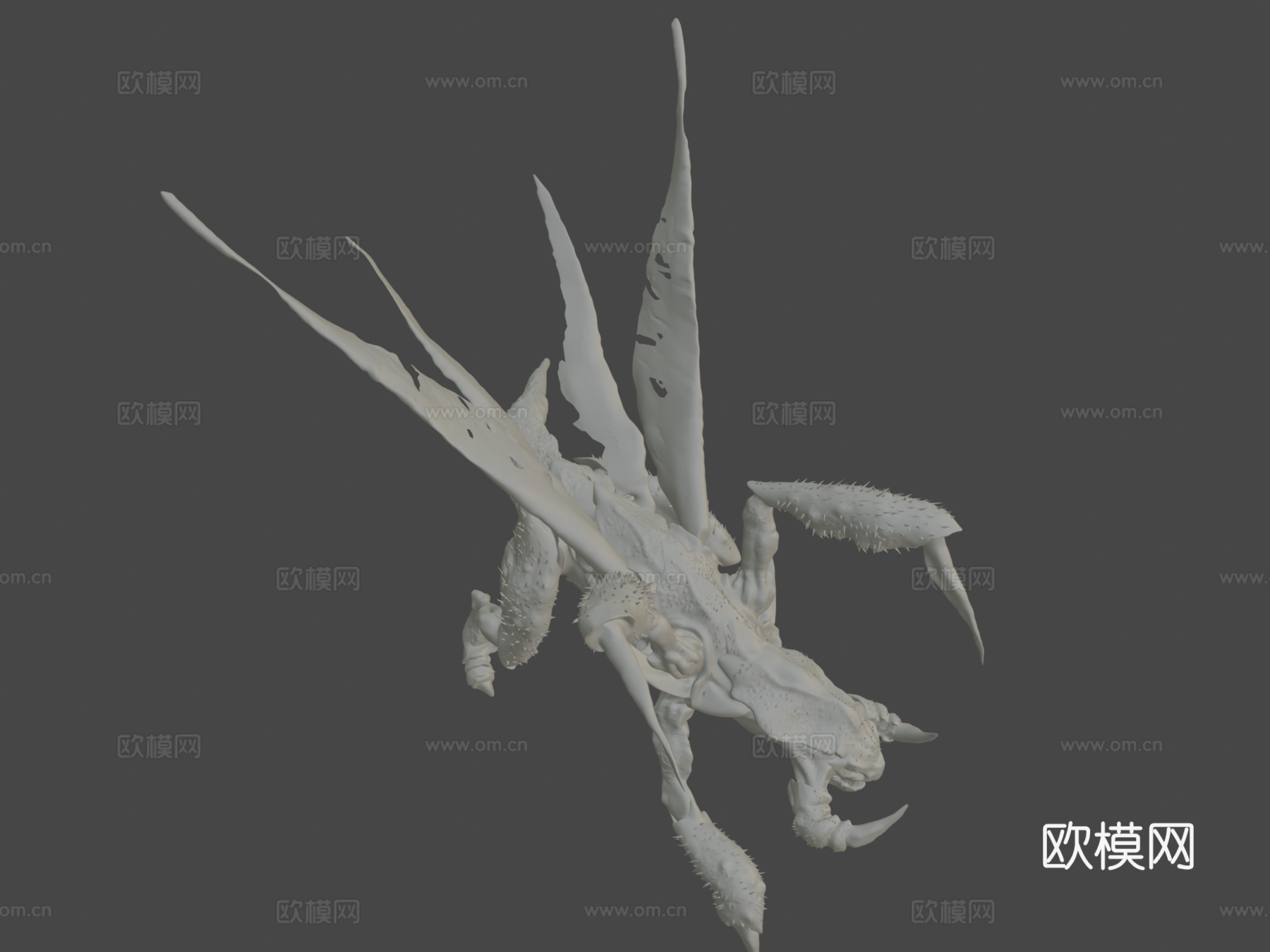 真实速龙3d模型