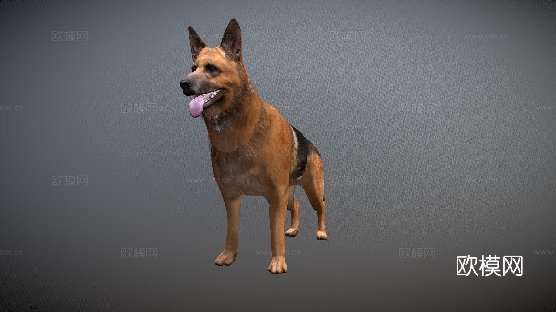 狗3d模型