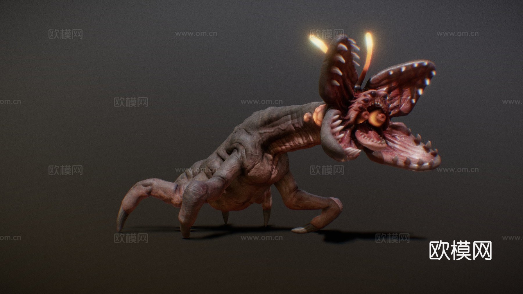 层铁氧体动画3d模型下载（渲染图1）