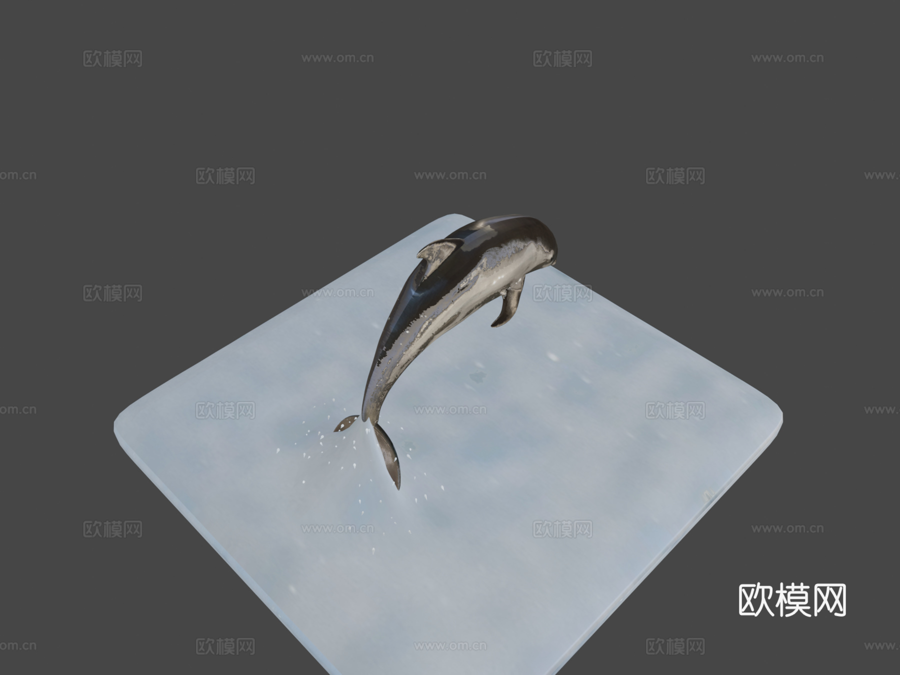 海豚3d模型