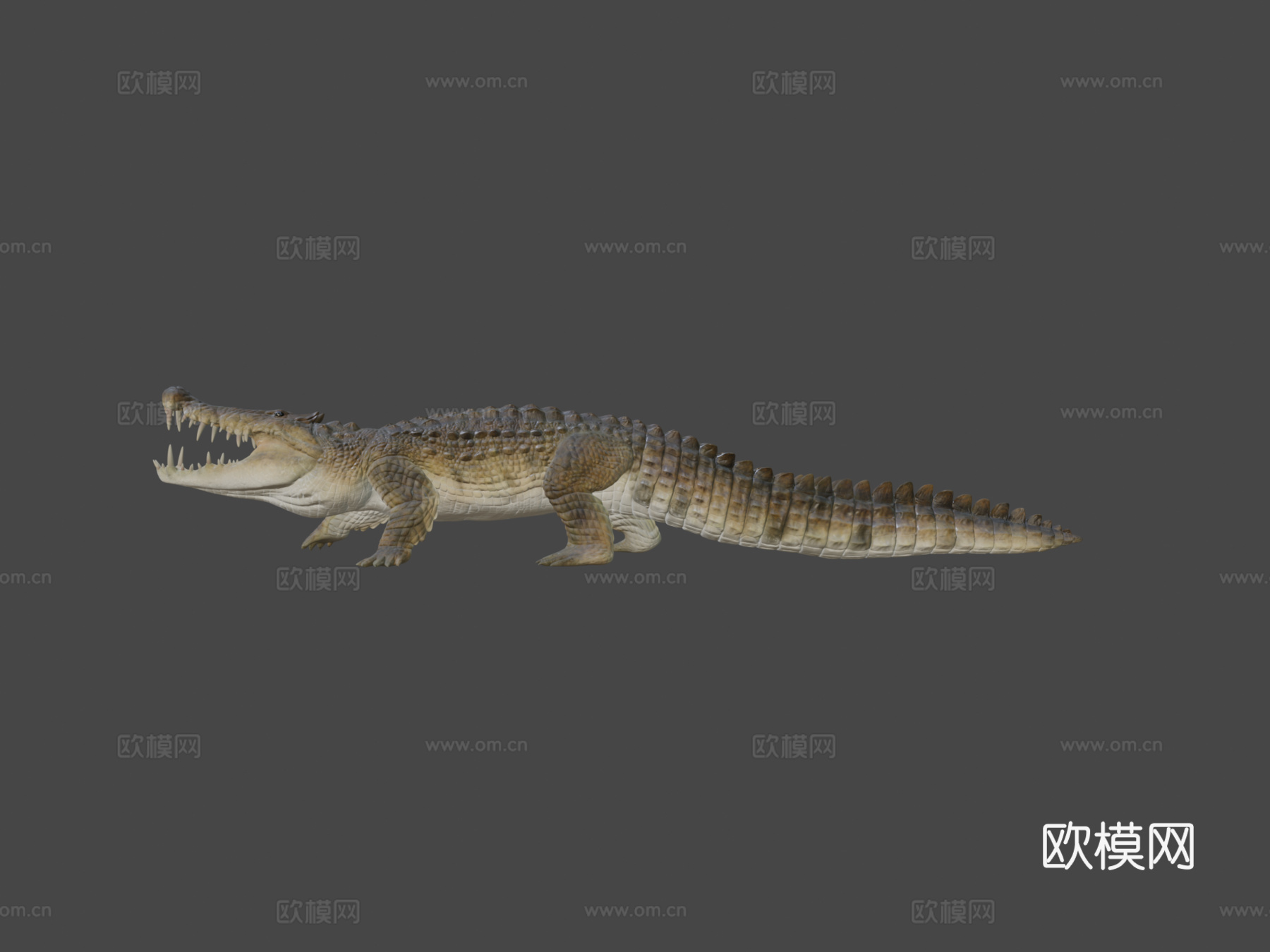 卡普罗鳄3d模型
