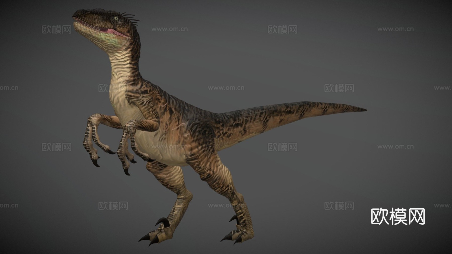 迅猛龙3d模型