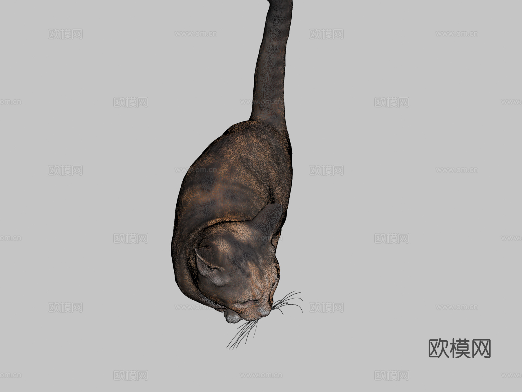 猫253d模型