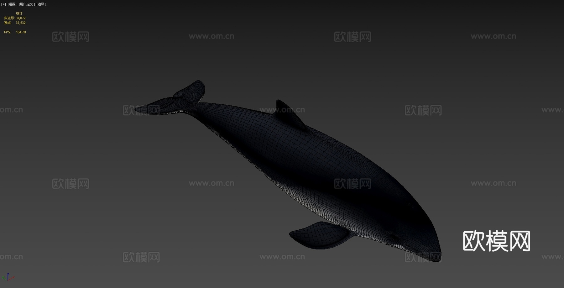尼斯(港湾鼠海豚)-港湾鼠海豚3d模型