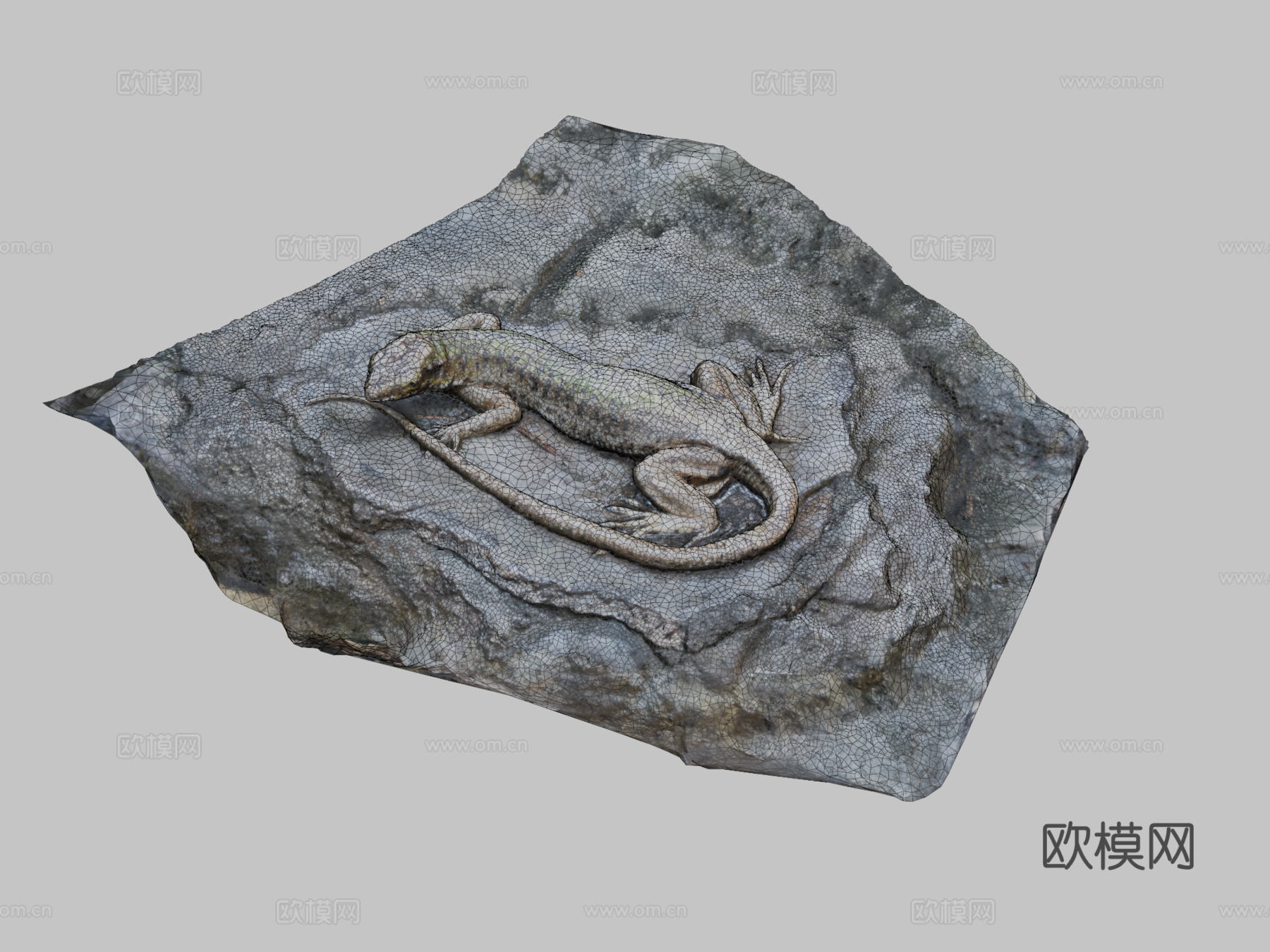 蜥蜴3d模型