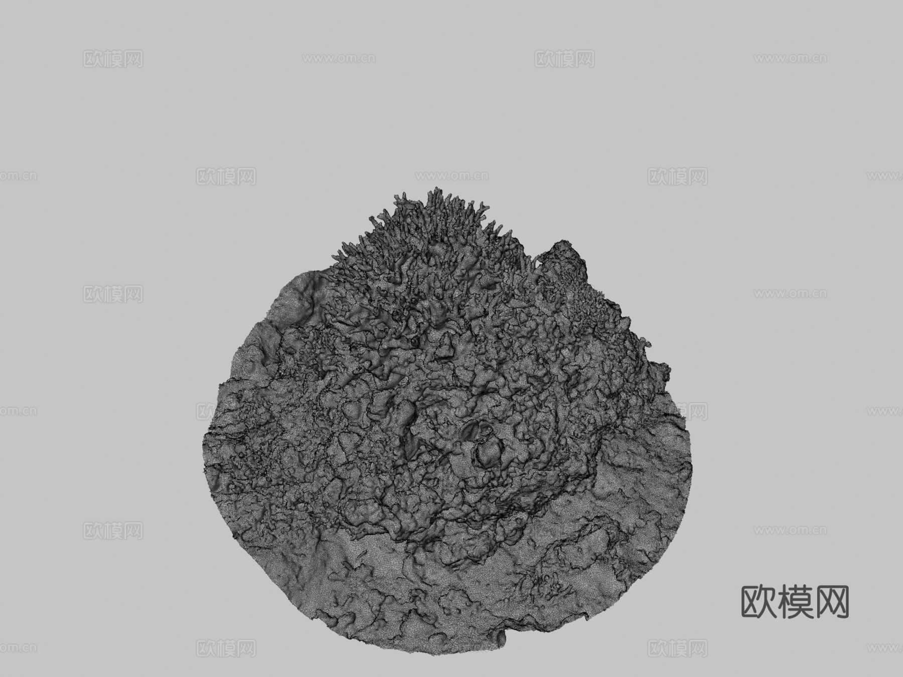冲绳珊瑚-Agisoft自然挑战3d模型