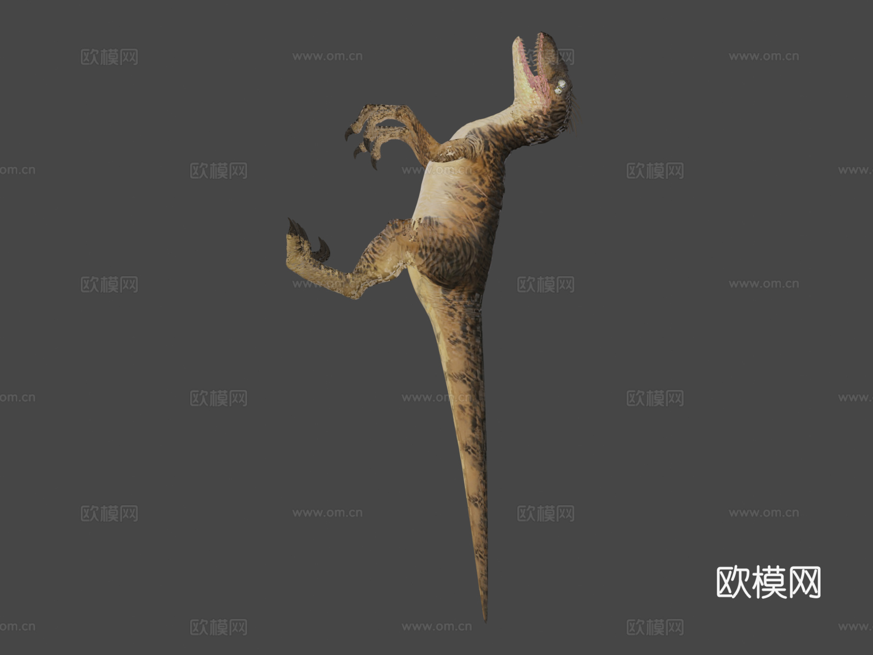 迅猛龙3d模型