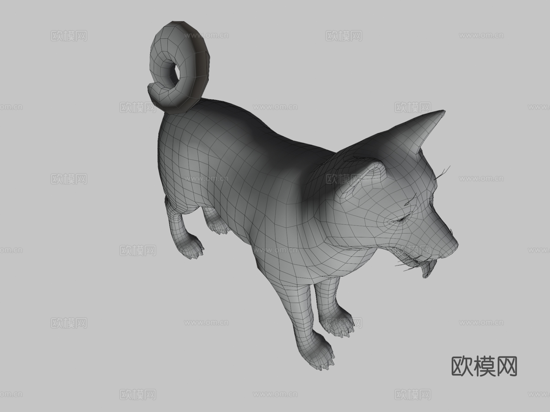 犬-秋田犬3d模型