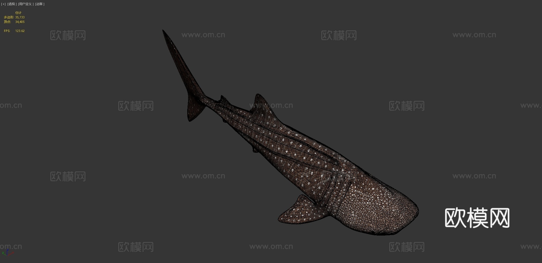 鲸鲨3d模型
